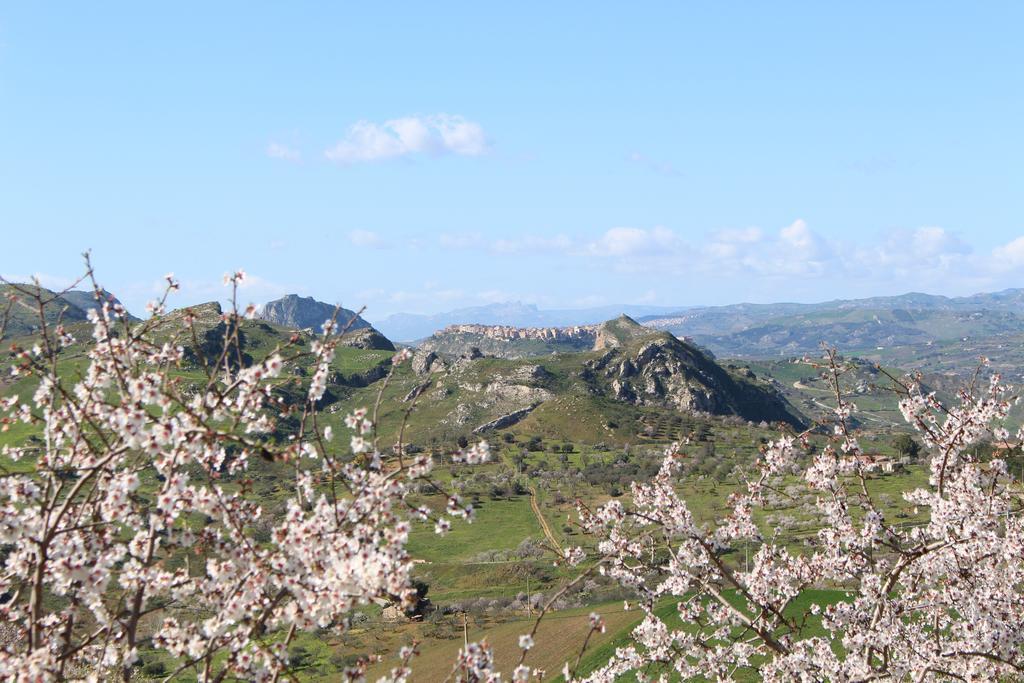 Agriturismo Feudo Muxarello Villa Aragona Luaran gambar