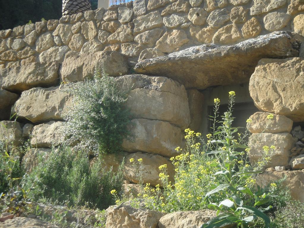 Agriturismo Feudo Muxarello Villa Aragona Luaran gambar